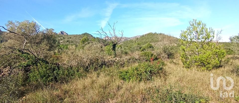 Land of 18,582 m² in Coll de l'Alba (43517)