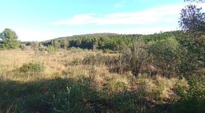 Land of 18,582 m² in Coll de l'Alba (43517)