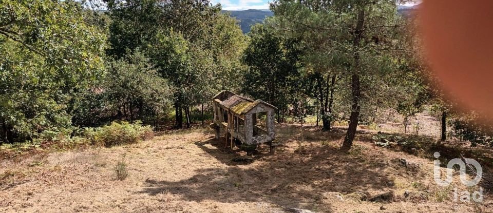 Terreno de 3.072 m² en Ponte Caldelas (36820)