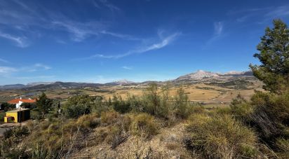 Terreno de 800 m² en Casabermeja (29160)