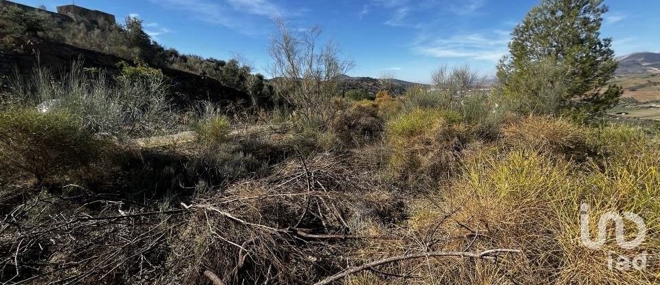 Terreno de 800 m² en Casabermeja (29160)