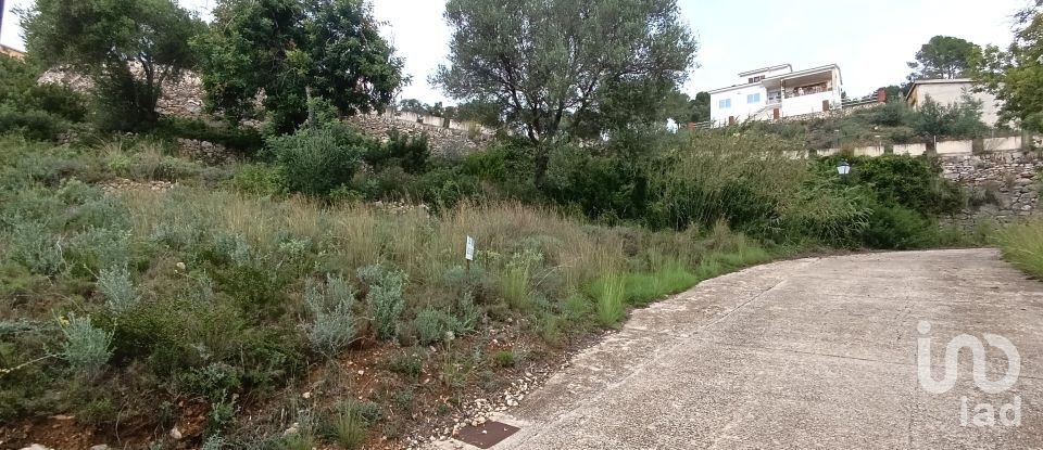 Terreno de 600 m² en Vinaros (12500)