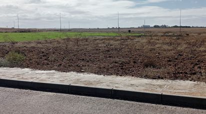 Terreno de 381 m² en Cañada Rosal (41439)