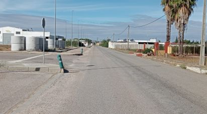 Terreno de 381 m² en Cañada Rosal (41439)