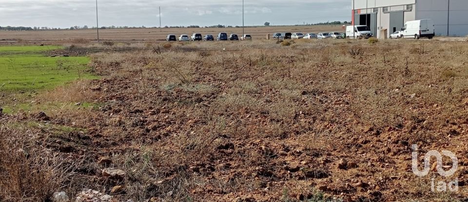 Terreno de 381 m² en Cañada Rosal (41439)