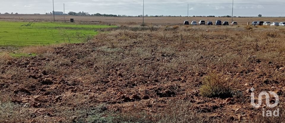 Terreno de 381 m² en Cañada Rosal (41439)