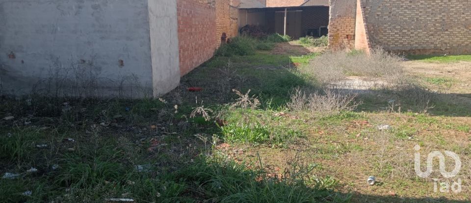 Terreno de 283 m² en Cañada Rosal (41439)