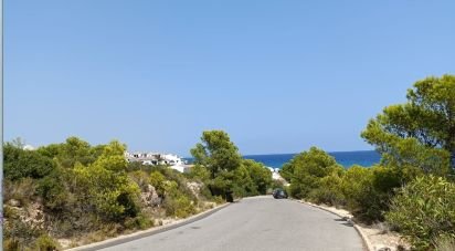 Terrain de 4 000 m² à L'Ametlla de Mar (43860)