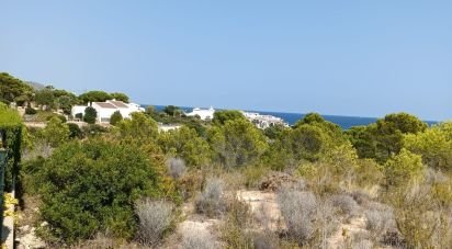 Terrain de 4 000 m² à L'Ametlla de Mar (43860)