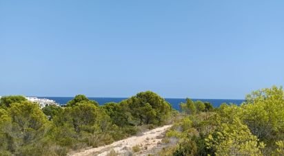 Terrain de 4 000 m² à L'Ametlla de Mar (43860)