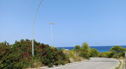 Terreno de 4.000 m² en L'Ametlla de Mar (43860)