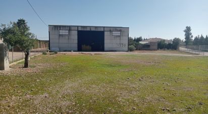 Terreno de 1.852 m² en Cañada Rosal (41439)