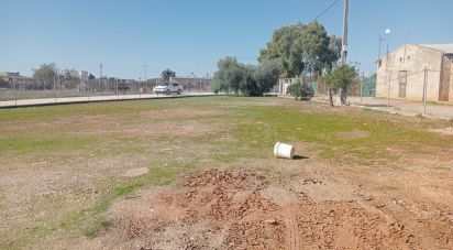 Terreno de 1.852 m² en Cañada Rosal (41439)