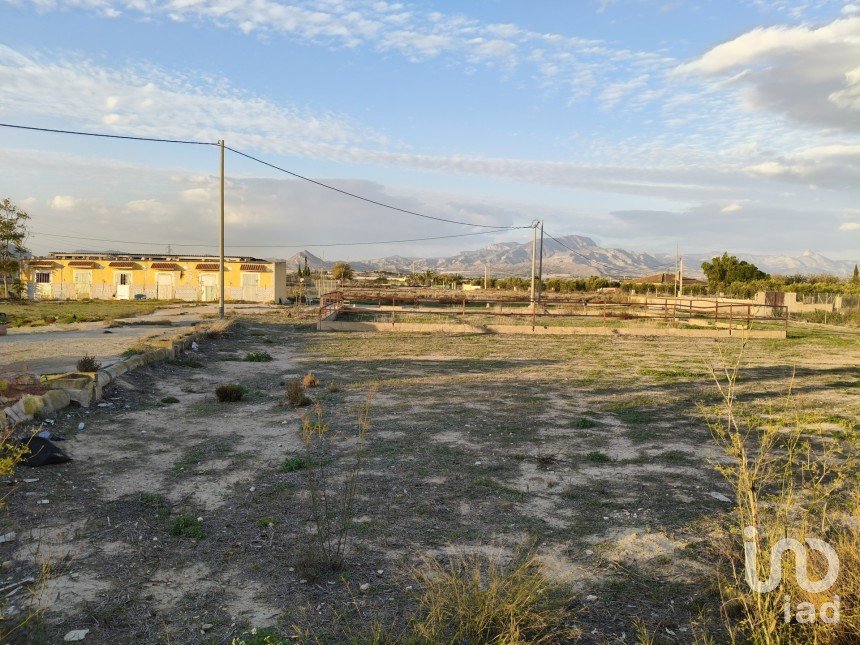 Terreno de 7.000 m² en Aspe (03680)