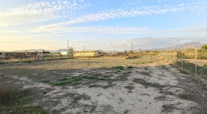 Terreno de 7.000 m² en Aspe (03680)