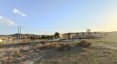 Terreno de 7.000 m² en Aspe (03680)