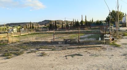 Terreno de 7.000 m² en Aspe (03680)