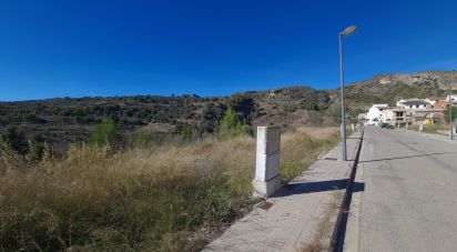 Terreno de 3.724 m² en Patró (03788)