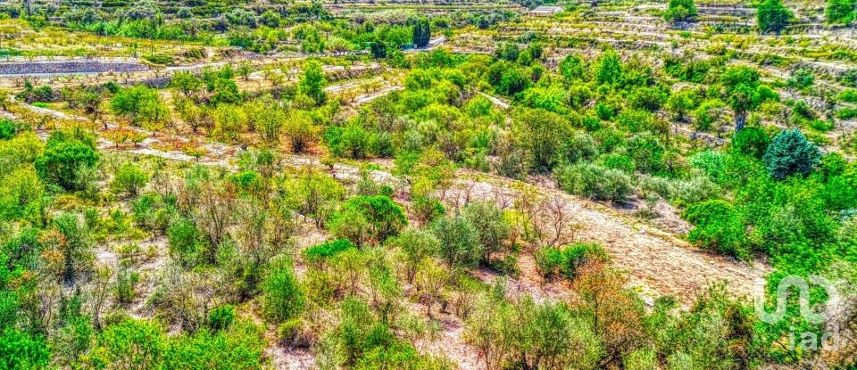 Terreno de 3.724 m² en Patró (03788)