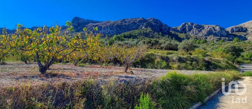 Terreno de 3.724 m² en Patró (03788)