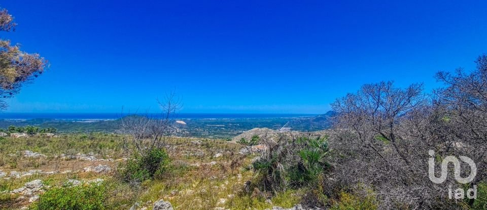 Terreno de 3.724 m² en Patró (03788)