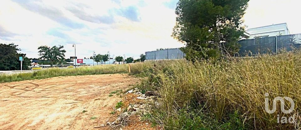 Terrain de 806 m² à Roda de Bara (43883)