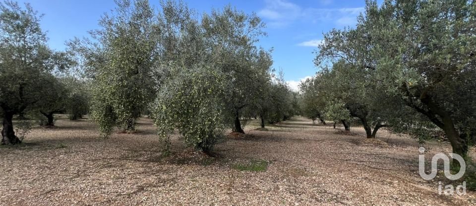 Terrain de 41 417 m² à Ulldecona (43550)