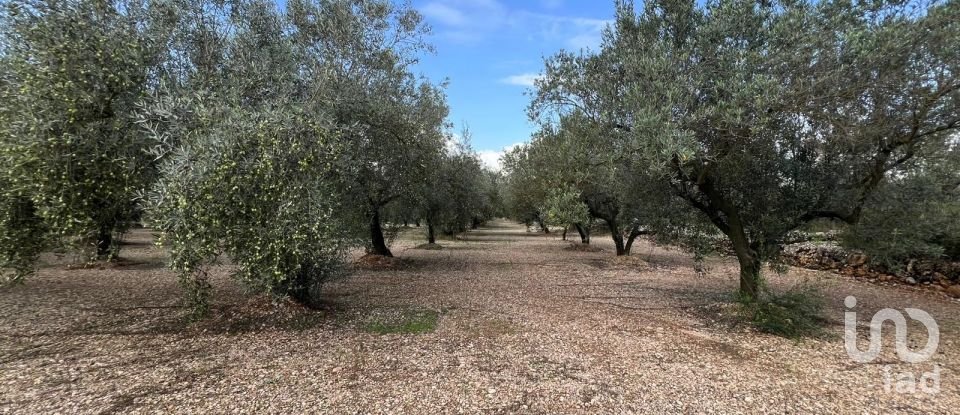 Terrain de 41 417 m² à Ulldecona (43550)