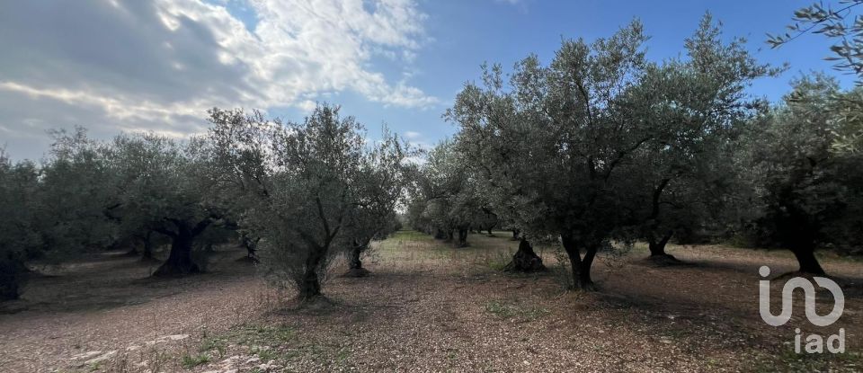 Terrain de 41 417 m² à Ulldecona (43550)