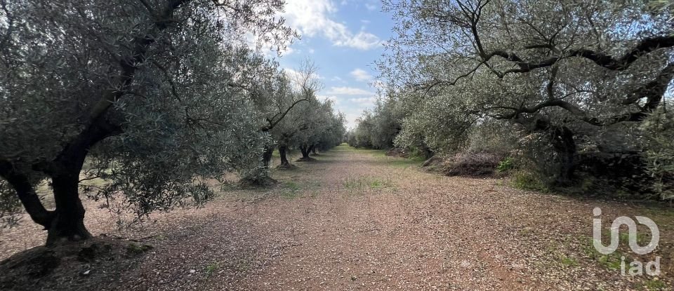 Terrain de 41 417 m² à Ulldecona (43550)