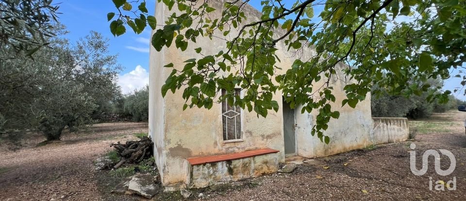 Terrain de 41 417 m² à Ulldecona (43550)