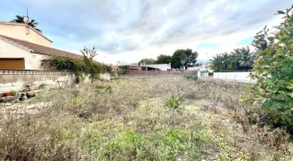 Land of 451 m² in Els Muntells (43879)