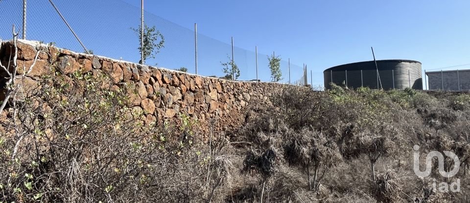 Terreno de 2.774 m² en Vilaflor (38613)