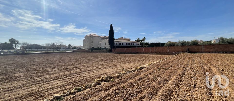 Terra de 9.645 m² a Torredembarra (43830)