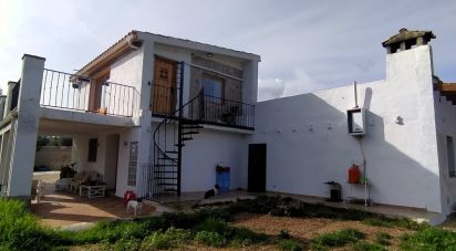 Terrain de 49 351 m² à L'Ametlla de Mar (43860)