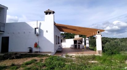 Terrain de 49 351 m² à L'Ametlla de Mar (43860)