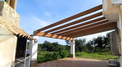 Terrain de 49 351 m² à L'Ametlla de Mar (43860)