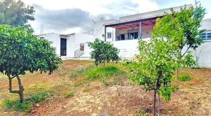 Country house 3 bedrooms of 96 m² in Tarifa (11380)