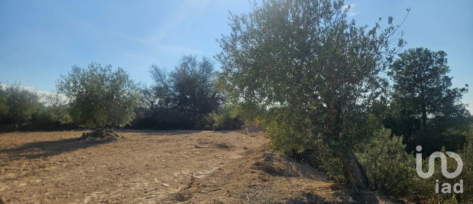 Terrain de 11 000 m² à Les Borges Blanques (25400)