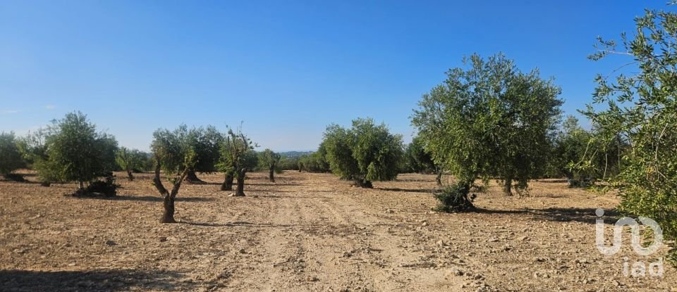 Terrain de 11 000 m² à Les Borges Blanques (25400)