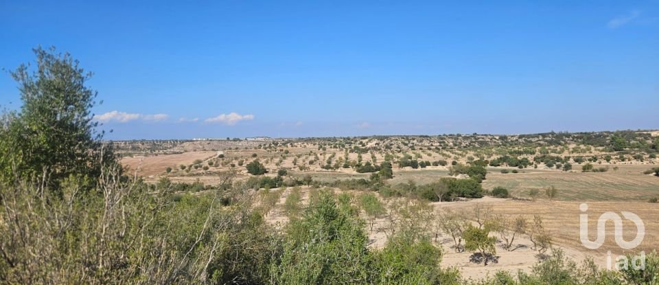 Terrain de 11 000 m² à Les Borges Blanques (25400)