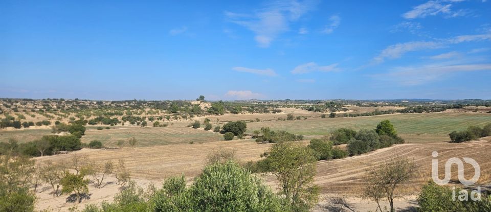 Terrain de 11 000 m² à Les Borges Blanques (25400)