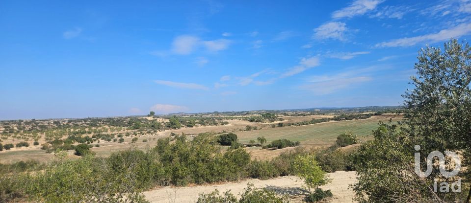 Terrain de 11 000 m² à Les Borges Blanques (25400)