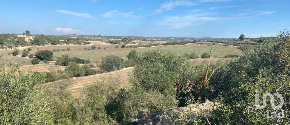 Terrain de 11 000 m² à Les Borges Blanques (25400)