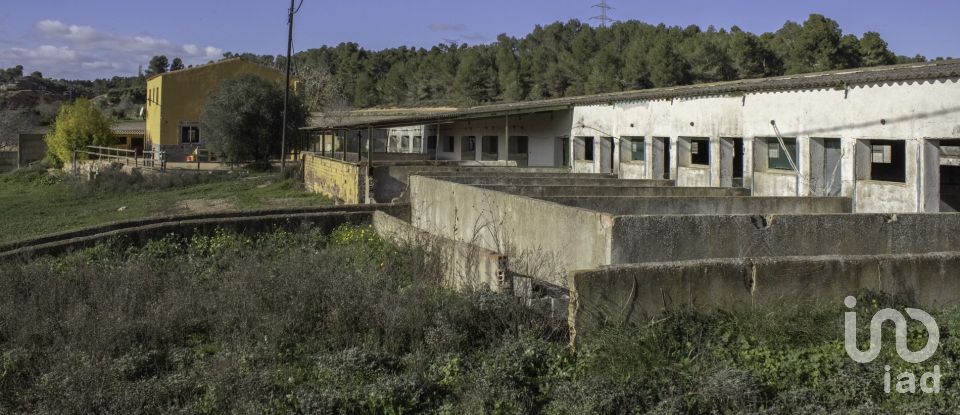 Maison de campagne 4 chambres de 170 m² à Vimbodi (43430)