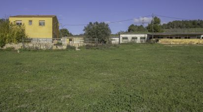 Maison de campagne 4 chambres de 170 m² à Vimbodi (43430)