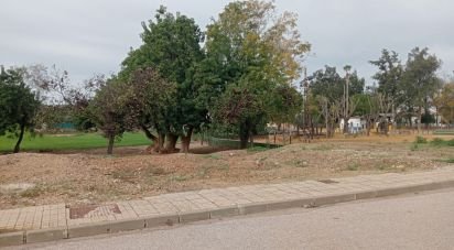 Terreno de 147 m² en Cañada Rosal (41439)