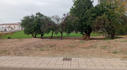 Terreno de 147 m² en Cañada Rosal (41439)