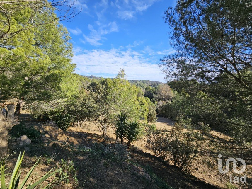 Terrain de 6 140 m² à Riudecanyes (43771)