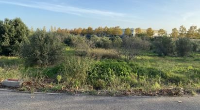 Land of 6,011 m² in Reus (43204)